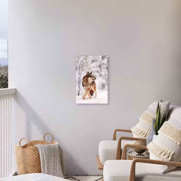 Wolf - Winter - Sneeuw - Natuur - Dieren Tuinposter op houten frame 2 cm dik klein -sfeer1