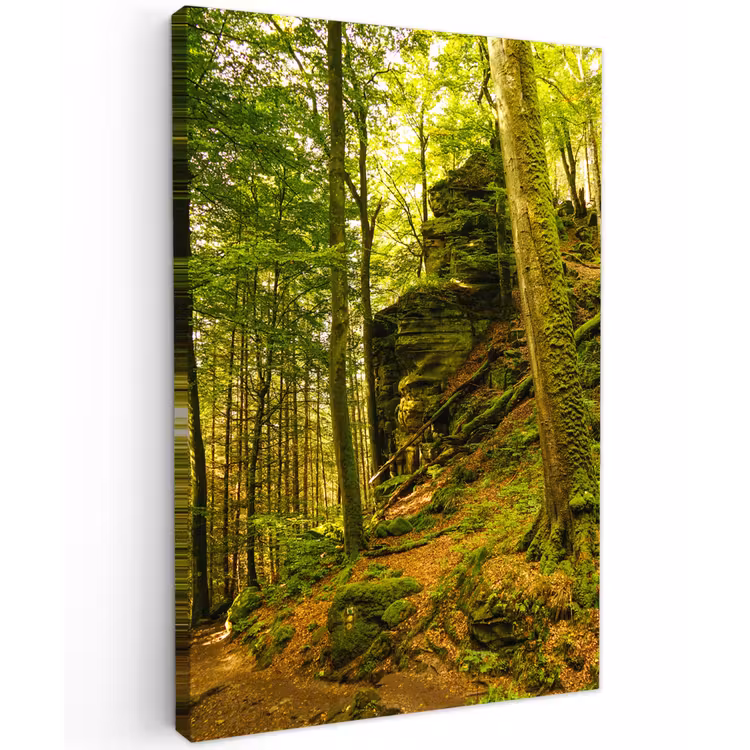 Bosrijke rotsformatie Tuinposter op houten frame 2 cm dik klein -3d