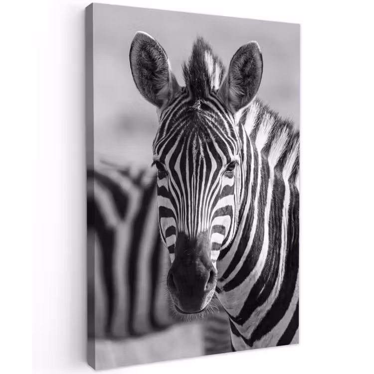 Zebra's - Zwart - Wit Tuinposter op houten frame 2 cm dik klein -3d