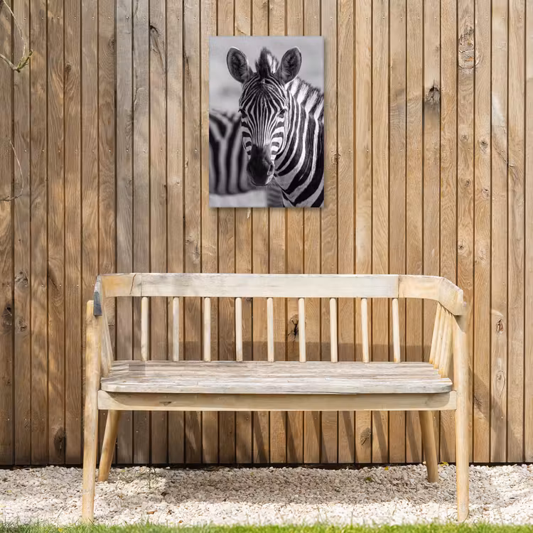 Zebra's - Zwart - Wit Tuinposter op houten frame 2 cm dik klein -sfeer4