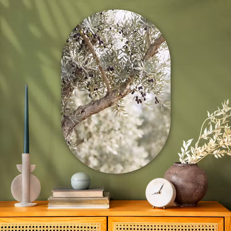 Oval - Glass - Olive tree - branch - green - Olijfboom - tak - groen Wandcirkel Ovaal Glas middel