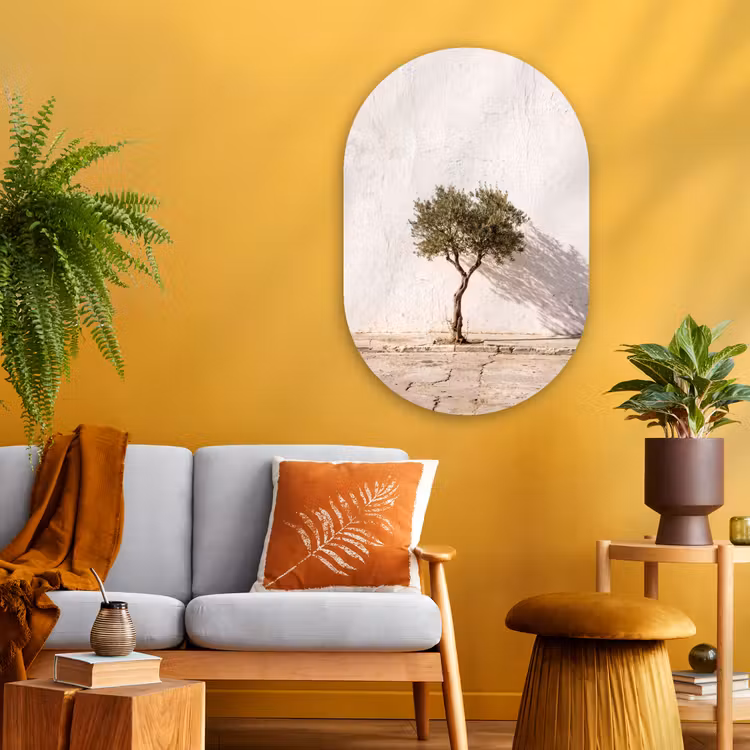 Oval - Glass - Olive Tree - Wall - White - Olijfboom - muur - wit Wandcirkel Ovaal Glas middel