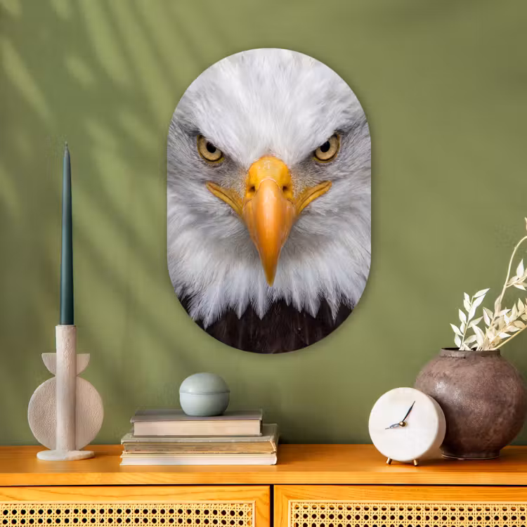 Amerikaans - Zeearend - Portret - Geel Wandcirkel Ovaal Forex klein -sfeer2