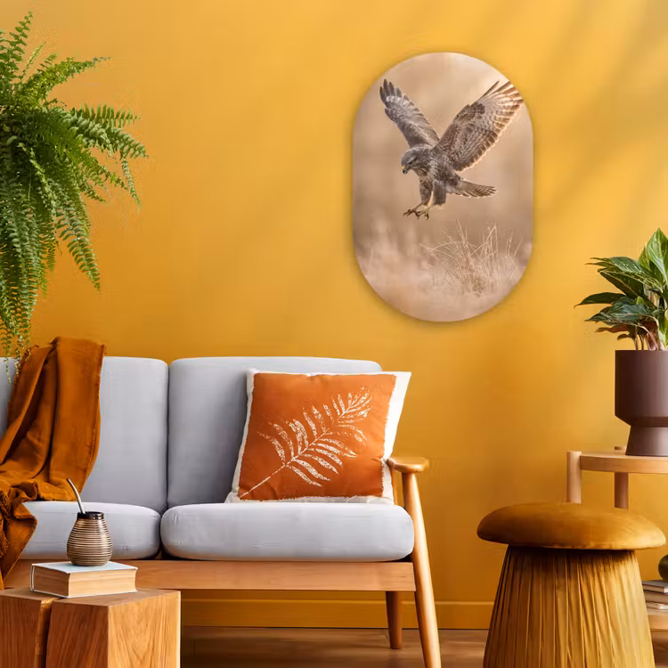 Buizerd - Roofvogel - Natuur - Bruin Wandcirkel Ovaal Forex klein -sfeer4