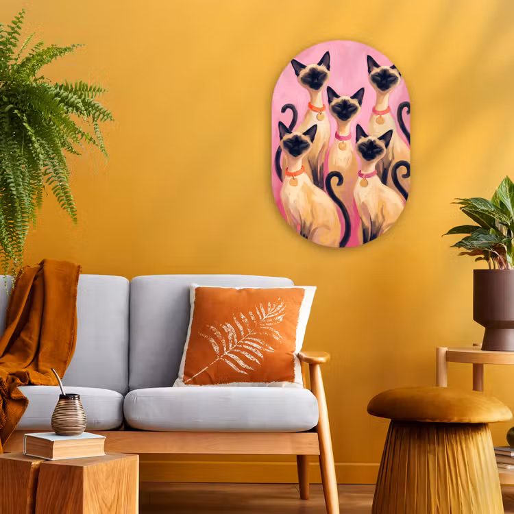 Kat - Groep - Dieren - Modern - Roze Wandcirkel Ovaal Forex klein -sfeer4