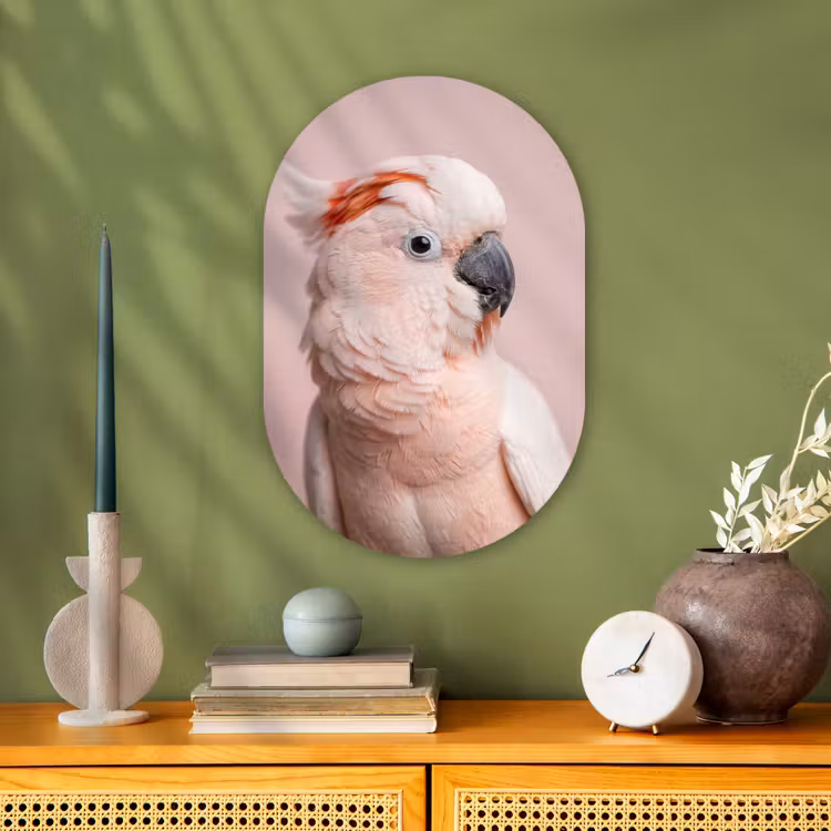 Kaketoe - Portret - Roze Wandcirkel Ovaal Forex klein -sfeer2
