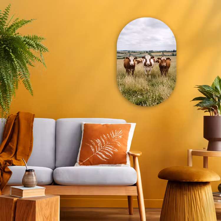 Koeien - Portret - Weide - Boerderij - Nieuwsgierig Wandcirkel Ovaal Forex klein -sfeer4