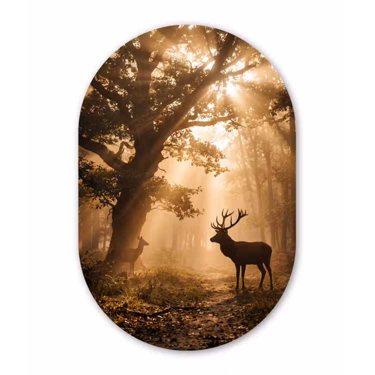 Hert - Bos - Mistig - Natuur - Goud Wandcirkel Ovaal Forex klein -3d