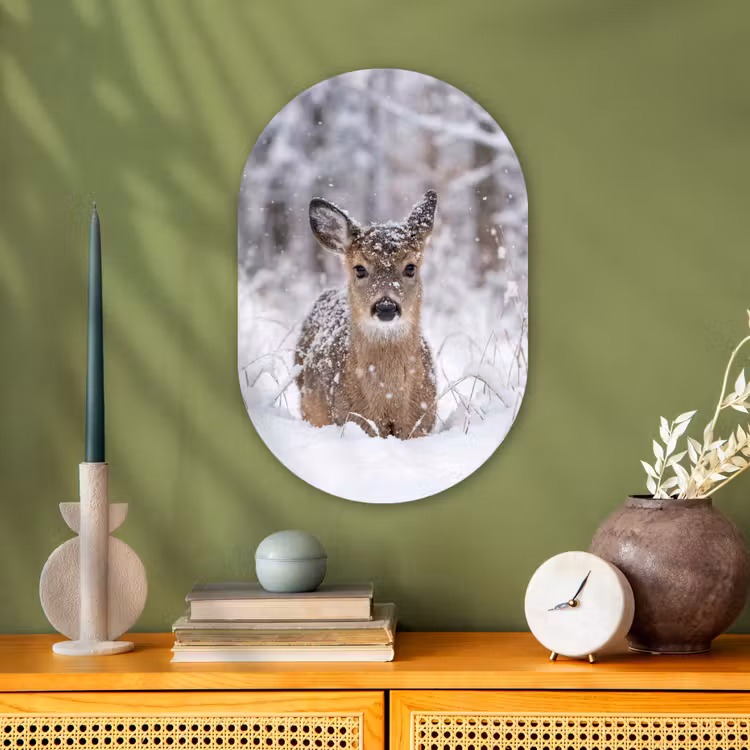 Hert - Sneeuw - Bos - Dieren - Vertederend Wandcirkel Ovaal Forex klein -sfeer2