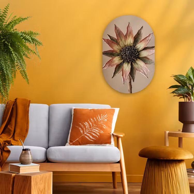 Droogbloem - Protea - Vintage - Beige - Rustiek Wandcirkel Ovaal Forex klein -sfeer4