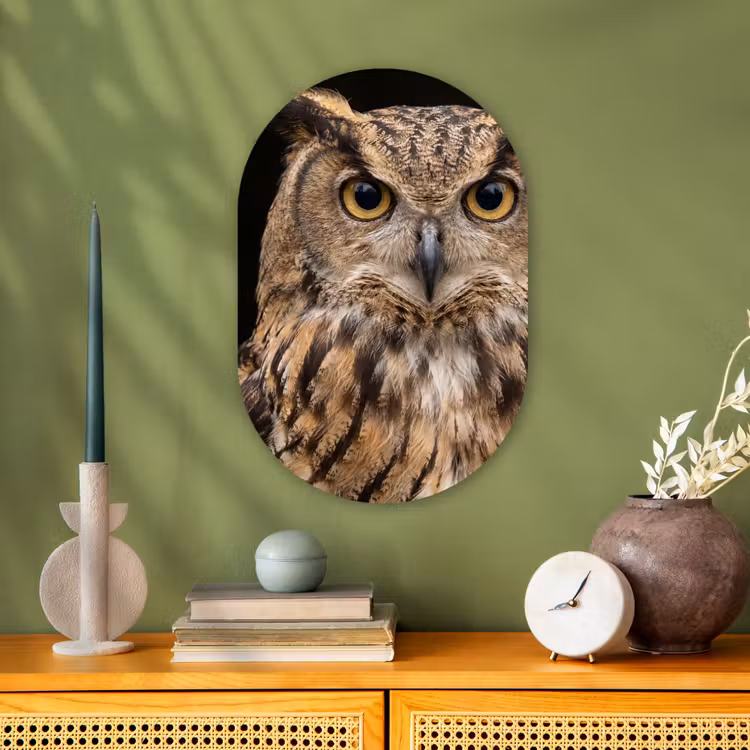 Oehoe - Uil - Portret - Bruin Wandcirkel Ovaal Forex klein -sfeer2