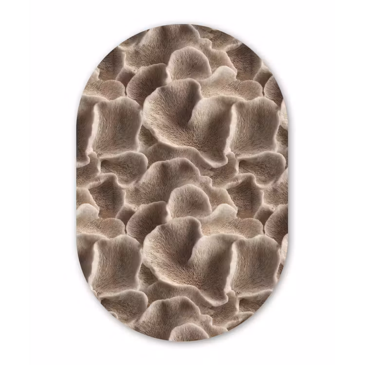 Waaiervorm - Beige - Vezel textuur Wandcirkel Ovaal Forex klein 630 -3d