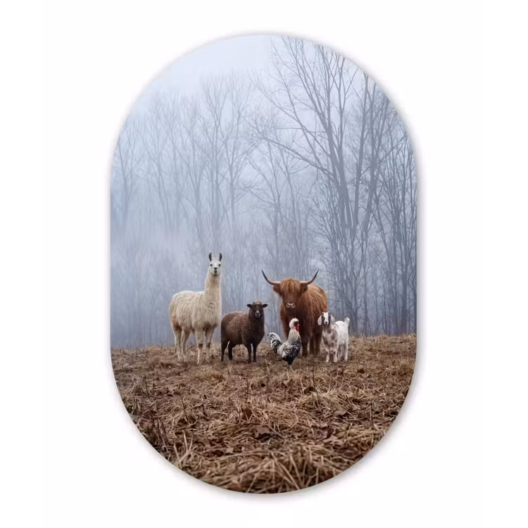 Boerderijdieren - Groep - Mist - Natuur - Rustiek Wandcirkel Ovaal Forex klein -3d