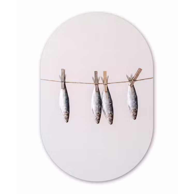 Oval - Plastic - Fish - Hanging - Food - Vis - Hangend - Eten Wandcirkel Ovaal Forex klein