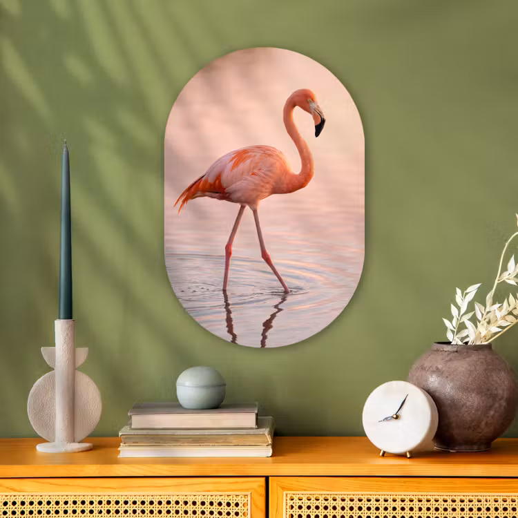 Flamingo - Water - Roze Wandcirkel Ovaal Forex klein -sfeer2