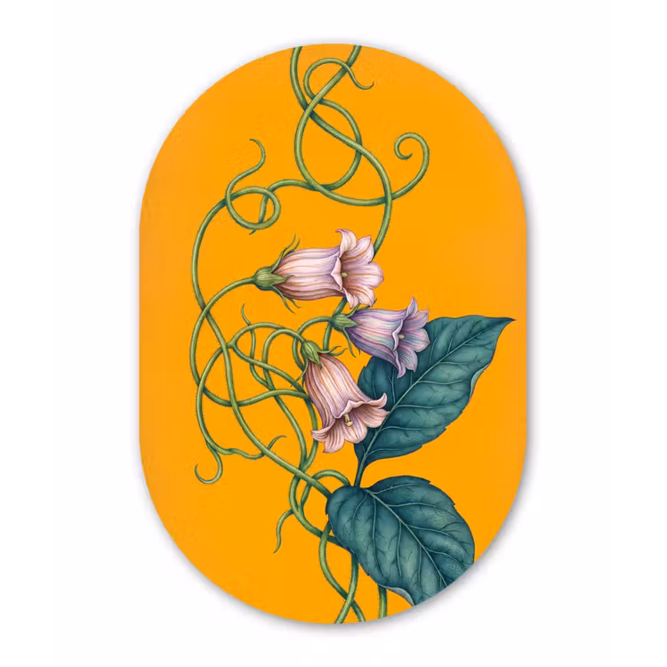 Oval - Plastic - Flowers - Botanical - Yellow - Bloemen - Botanisch - Geel Wandcirkel Ovaal Forex klein