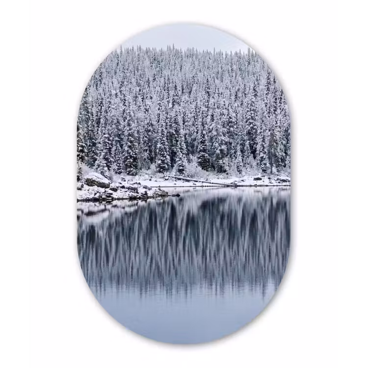 Bos - Reflectie - Meer - Winter - Serene Wandcirkel Ovaal Forex klein -3d