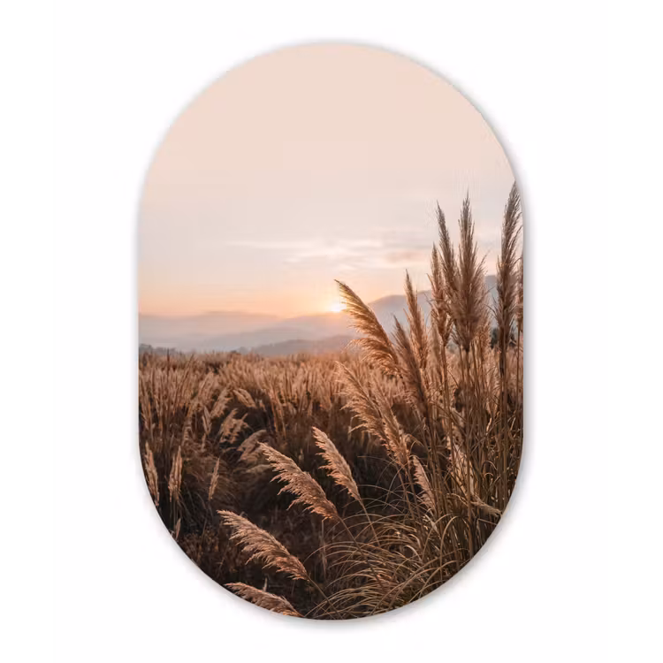 Gras - Veld - Zon - Natuur Wandcirkel Ovaal Forex klein -3d