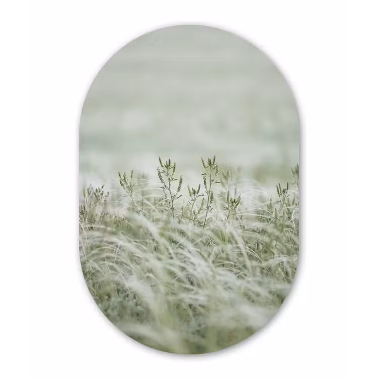 Grassen - Minimalistisch - Groen Wandcirkel Ovaal Forex klein -3d