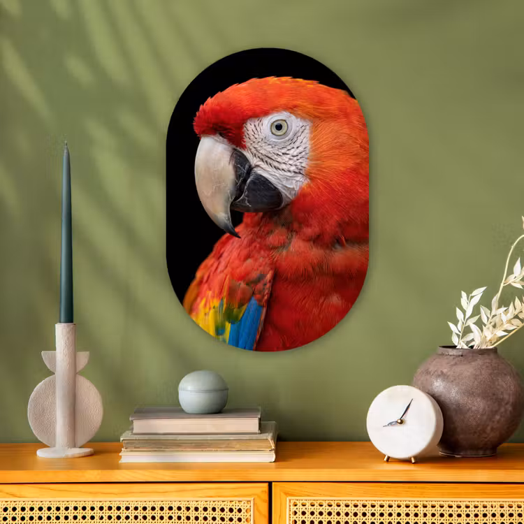 Ara - Portret - Rood Wandcirkel Ovaal Forex klein -sfeer2