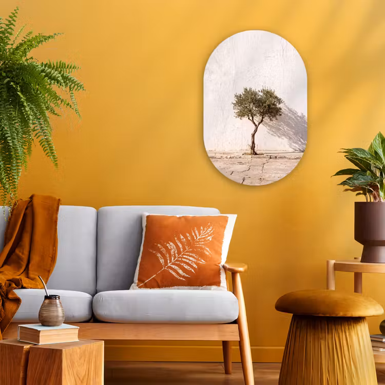 Oval - Plastic - Olive Tree - Wall - White - Olijfboom - muur - wit Wandcirkel Ovaal Forex klein