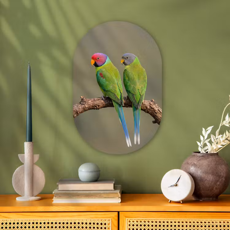 Papagaai - Tak - Natuur - Kleurrijk Wandcirkel Ovaal Forex klein -sfeer2