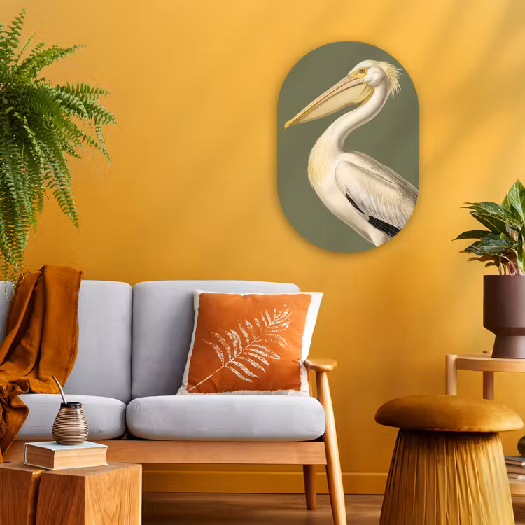 Pelikaan - Wit - Vogel - Klassiek - Natuur Wandcirkel Ovaal Forex klein -sfeer4