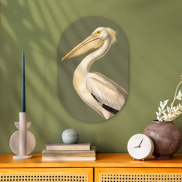 Pelikaan - Wit - Vogel - Klassiek - Natuur Wandcirkel Ovaal Forex klein -sfeer2