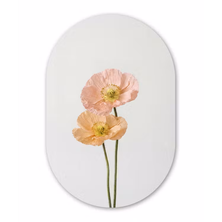 Papavers - Botanisch - Roze Wandcirkel Ovaal Forex klein -3d