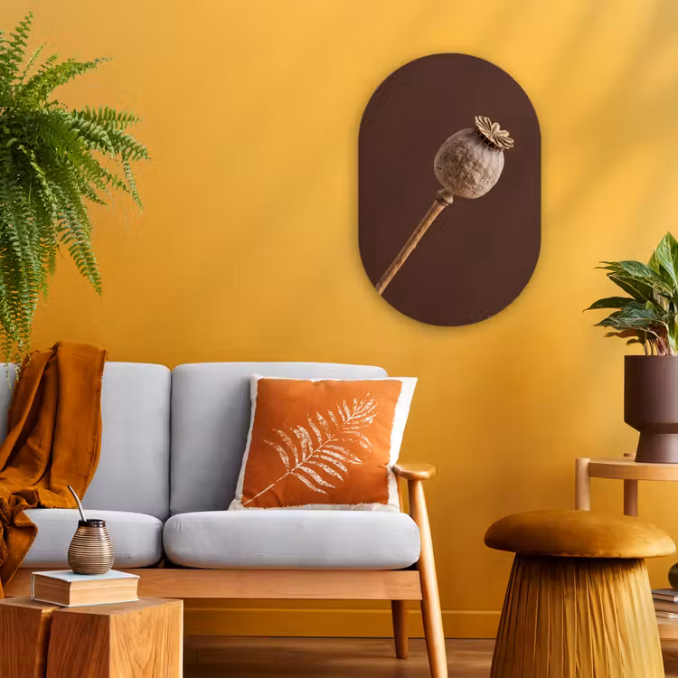 Papaverbol - Droogbloem - Bruin - Minimalistisch Wandcirkel Ovaal Forex klein -sfeer4