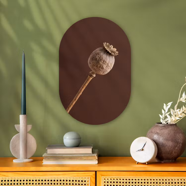 Papaverbol - Droogbloem - Bruin - Minimalistisch Wandcirkel Ovaal Forex klein -sfeer2