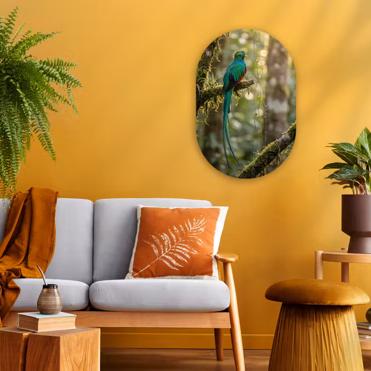 Quetzal - Jungle - Natuur - Groen Wandcirkel Ovaal Forex klein -sfeer4