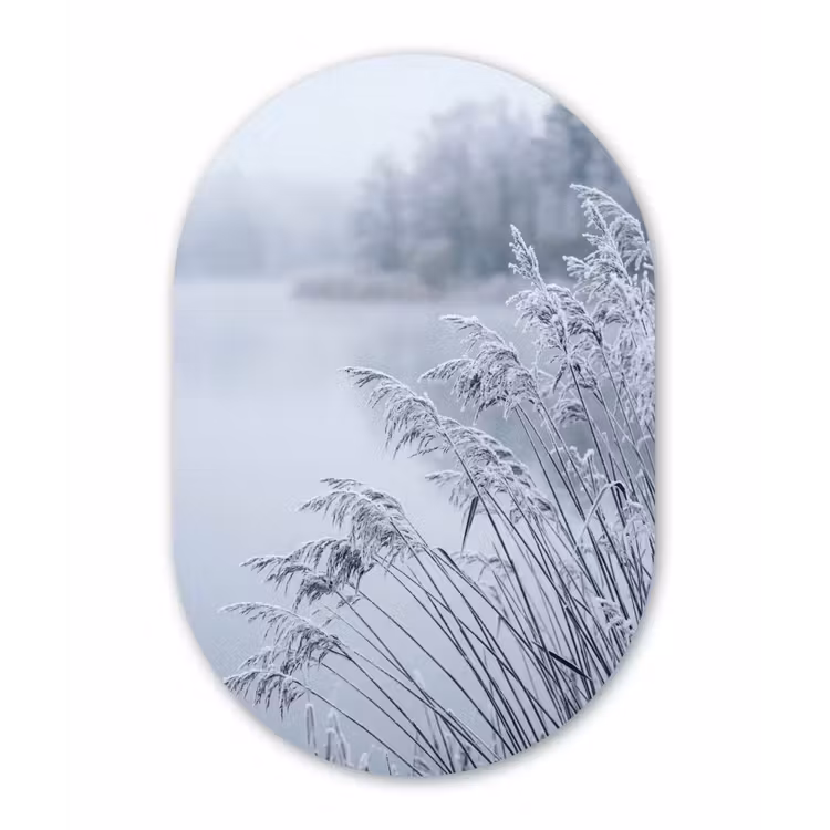 Riet - Bevroren - Winter - Natuur Wandcirkel Ovaal Forex klein -3d