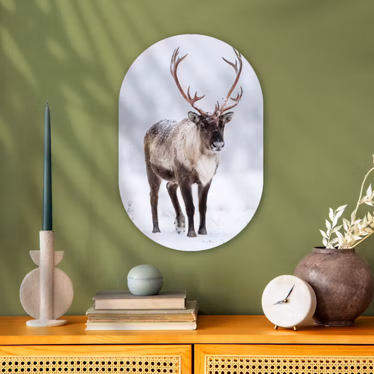 Rendier - Gewei - Toendra - Sneeuw - Wild Wandcirkel Ovaal Forex klein -sfeer2