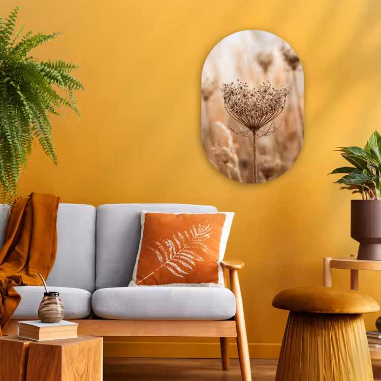 Schermbloem - Droogbloem - Winter - Beige - Minimalistisch Wandcirkel Ovaal Forex klein -sfeer4