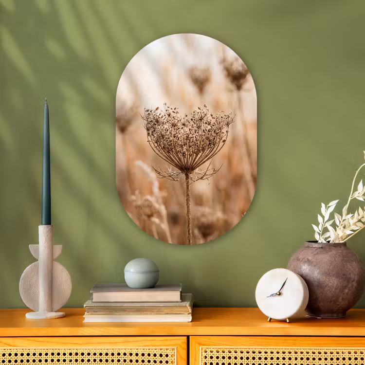 Schermbloem - Droogbloem - Winter - Beige - Minimalistisch Wandcirkel Ovaal Forex klein -sfeer2
