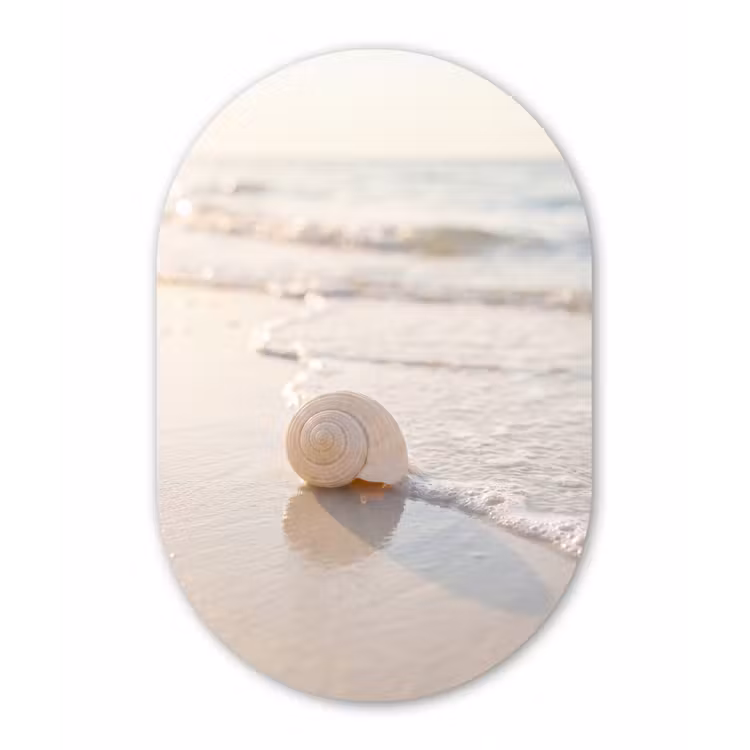 Zeeschelp - Strand - Zee - Natuur - Beige Wandcirkel Ovaal Forex klein -3d