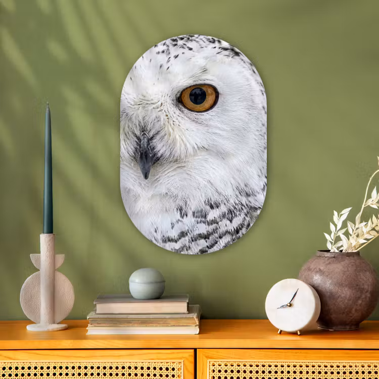 Sneeuwuil - Oog - Wildlife - Wit Wandcirkel Ovaal Forex klein -sfeer2