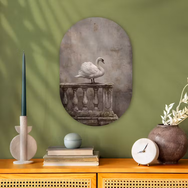 Zwaan - Elegant - Dieren - Wit Wandcirkel Ovaal Forex klein -sfeer2