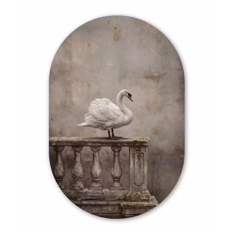 Zwaan - Elegant - Dieren - Wit Wandcirkel Ovaal Forex klein -3d
