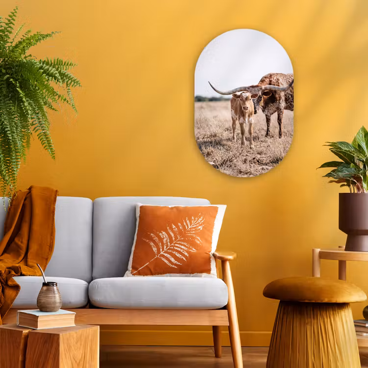 Texas Longhorn - Kalf - Weide - Dieren Wandcirkel Ovaal Forex klein -sfeer4