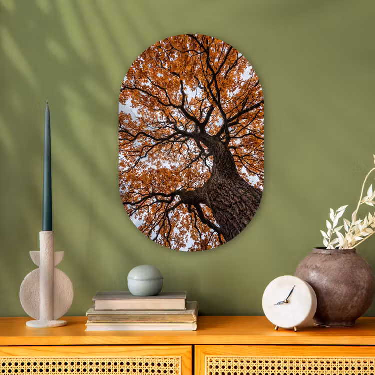 Boom - Bladerdak - Herfst - Oranje - Sfeervol Wandcirkel Ovaal Forex klein -sfeer2