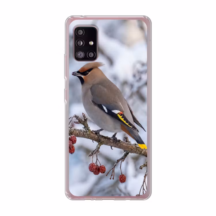Pestvogel - Bessen - Winter - Natuur Telefoonhoesje Samsung Galaxy A51 5G klein -3d