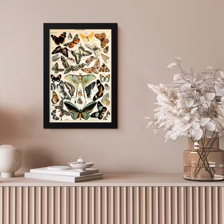 Adolphe Millot - Vlinder - Dieren - Insecten - Vintage fotolijst zwart zonder passe partout klein -sfeer5