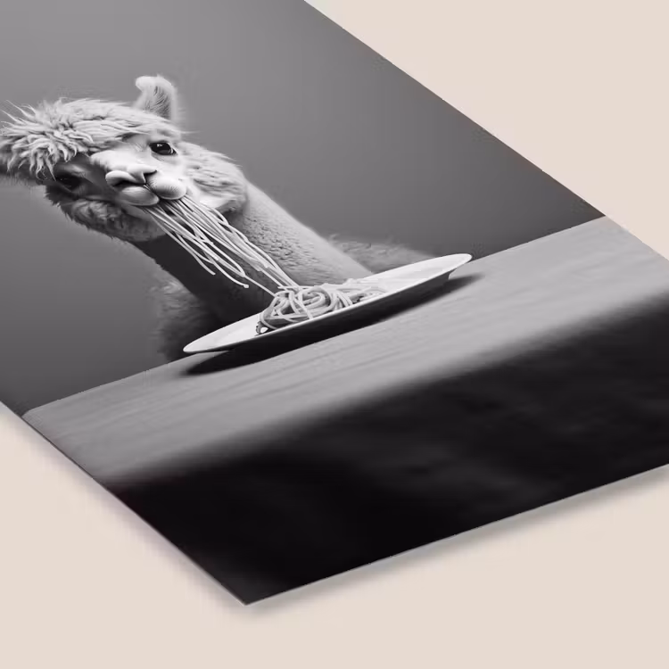 Alpaca - Pasta - Zwart - Wit - Grappig - Dieren fotolijst zwart zonder passe partout klein -zsfeer6