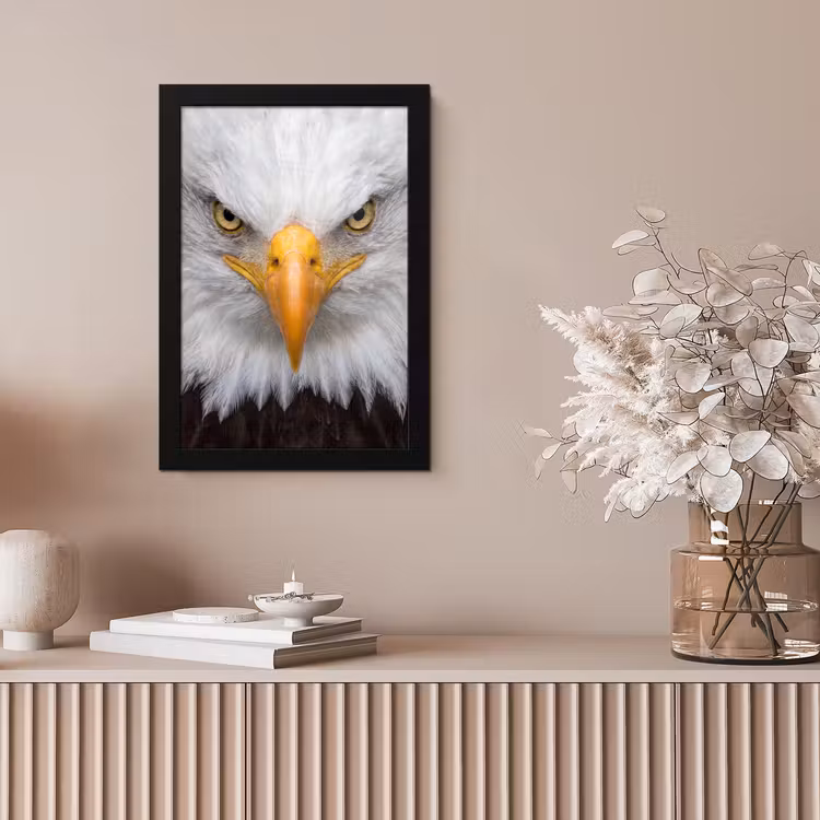Amerikaans - Zeearend - Portret - Geel fotolijst zwart zonder passe partout klein -sfeer5
