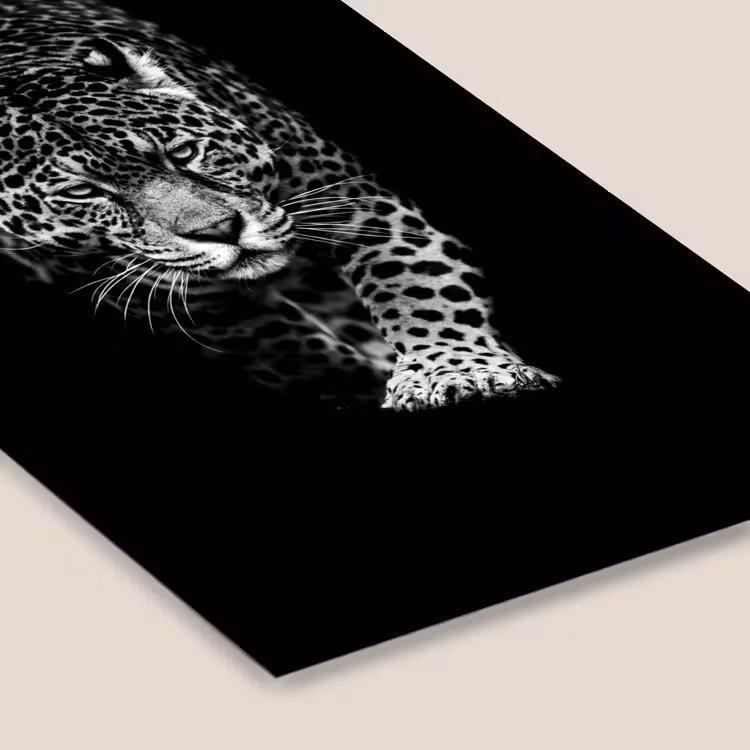 Dieren - Zwart - Luipaard - Wit - Wild fotolijst zwart zonder passe partout klein -zsfeer6