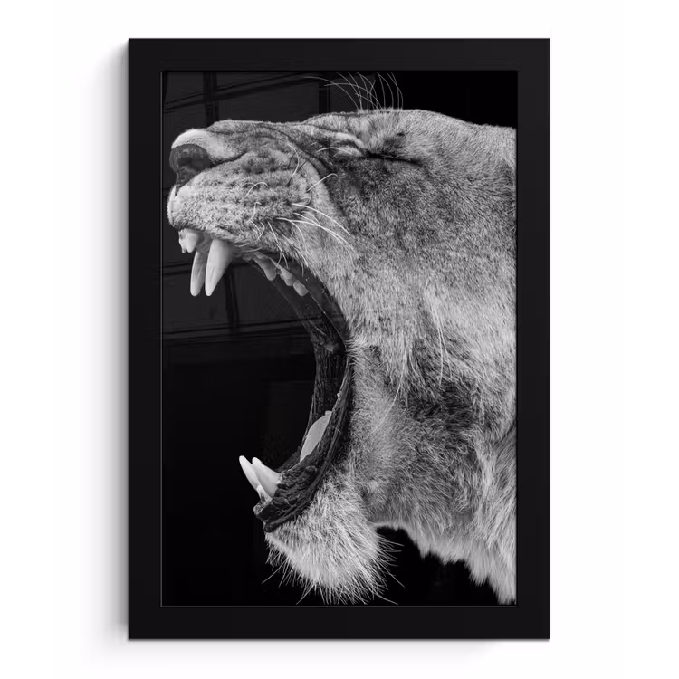 Dieren - Leeuw - Zwart - Wit - Portret fotolijst zwart zonder passe partout klein -3d