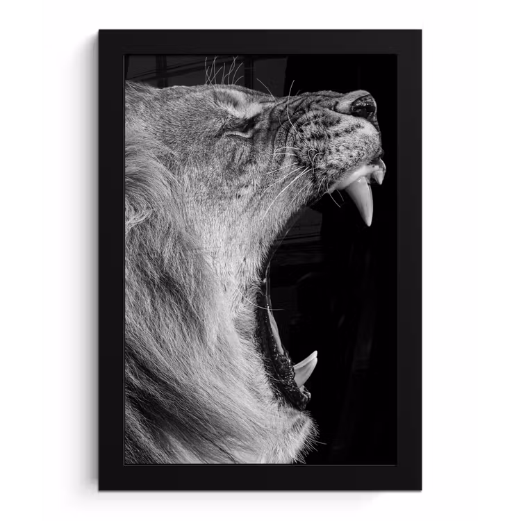 Dieren - Leeuw - Zwart - Wit - Portret fotolijst zwart zonder passe partout klein -3d