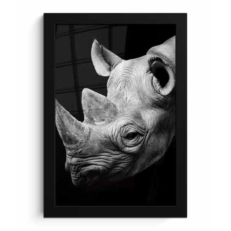 Dieren - Neushoorn - Zwart - Wit - Portret fotolijst zwart zonder passe partout klein -3d